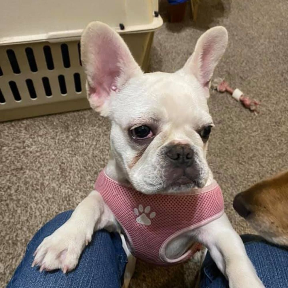 Meet your Posher, Sandee